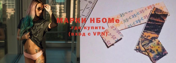 прущие грибы Магадан