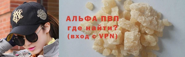 прущие грибы Магадан
