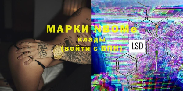 прущие грибы Магадан