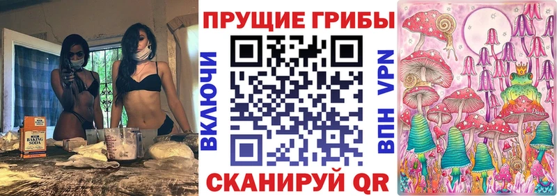 хочу Холм Галлюциногенные грибы Psilocybine cubensis